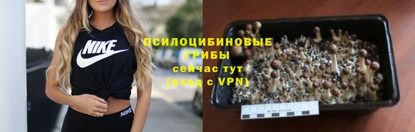 mdpv Новодвинск