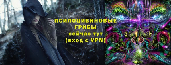 крисы Няндома