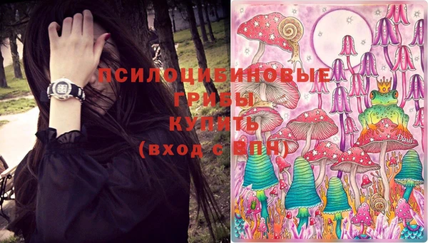 альфа пвп Новозыбков