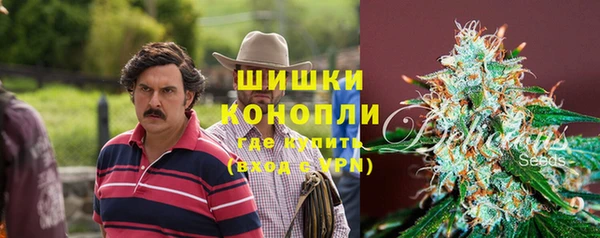 mdpv Новодвинск